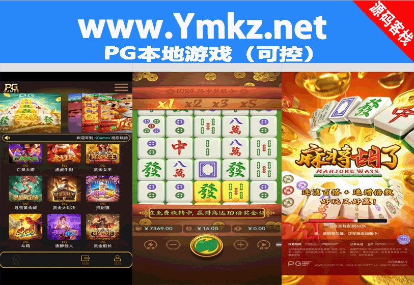 PG本地游戏（可控）